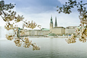 Hamburg allgemein